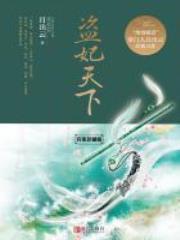 盗妃天下（完美珍藏版）