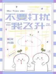 不要打扰我飞升